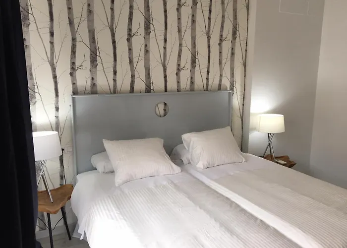 Correduria Premium Apartments